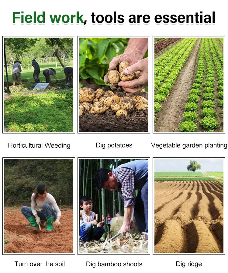 HandHoe™ | Houe manuelle portative pour mauvaises herbes