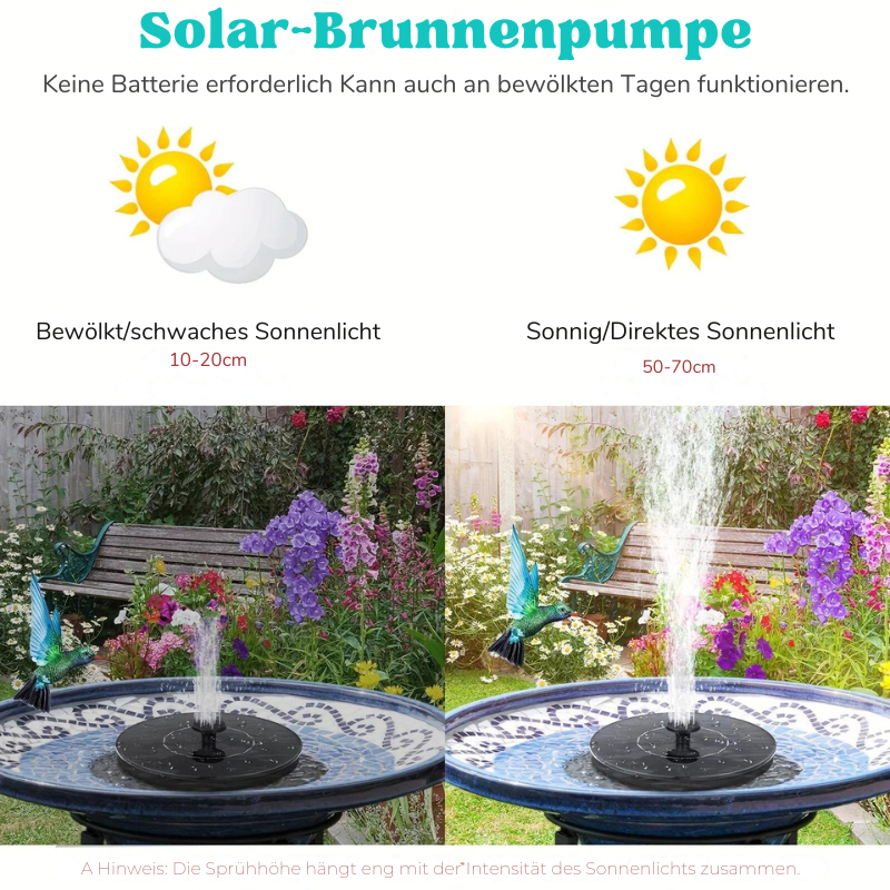 SunBath™ | Pompe de fontaine solaire pour bain d'oiseaux